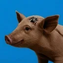 Gertrude