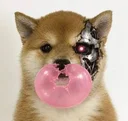pop