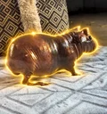 The Guinea Pig
