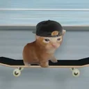 catonboard